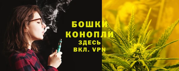индика Нефтегорск