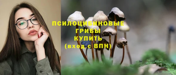 ECSTASY Алзамай