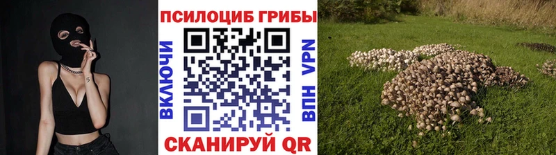 Псилоцибиновые грибы GOLDEN TEACHER  кракен как зайти  Амурск 